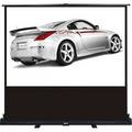 Dinon - 81 inch 16:9 Portable Pull Up Projector Screen