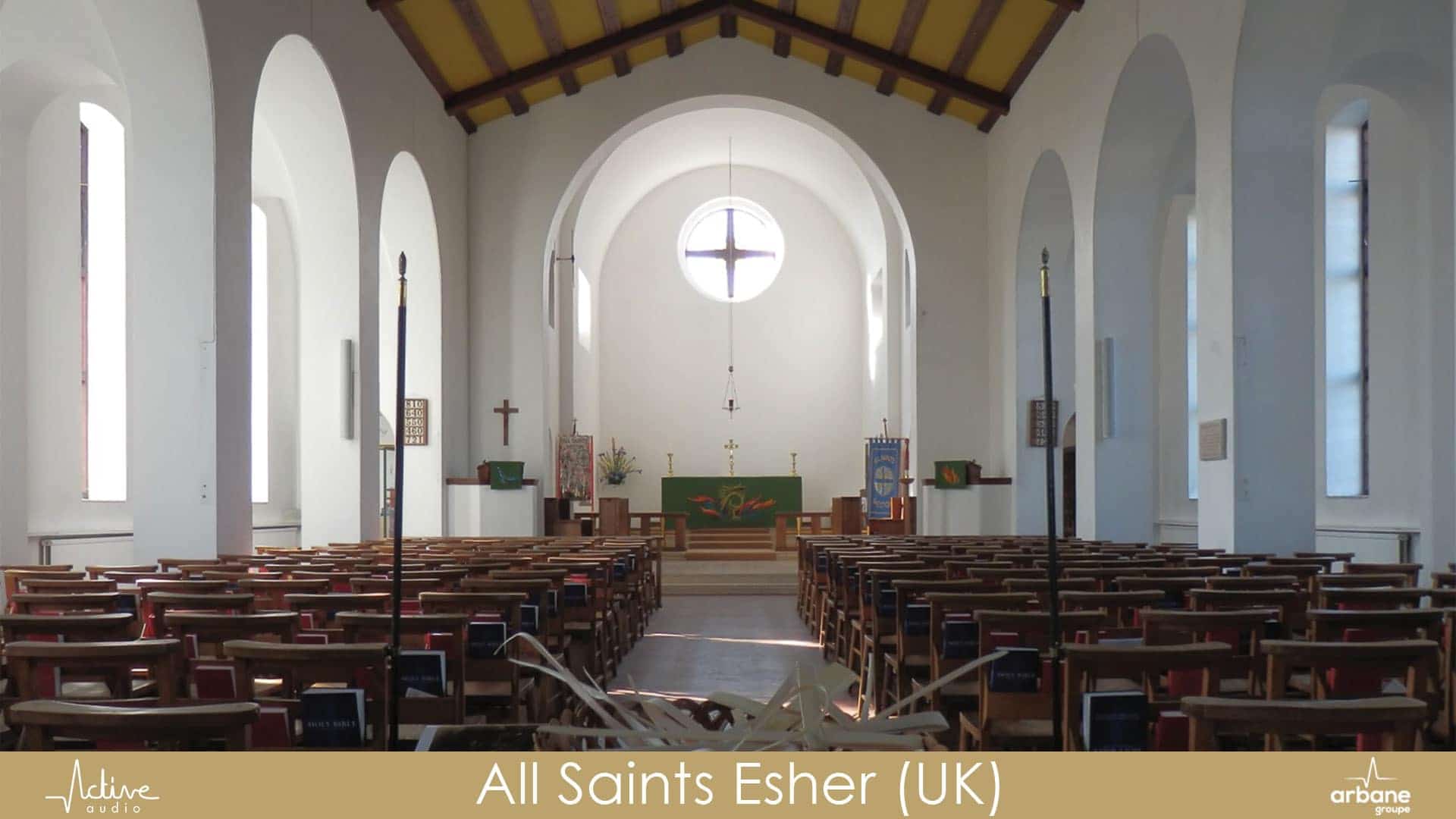 Rayon R110TC - DGRC Mono channel Column Loudspeaker - Image 3